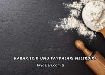 Karakılçık Unu Faydaları Nelerdir?