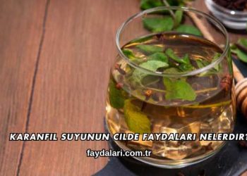 Karanfil Suyunun Cilde Faydaları Nelerdir?
