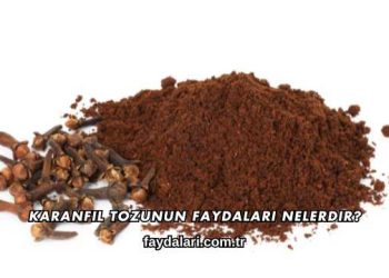 Karanfil Tozunun Faydaları Nelerdir?