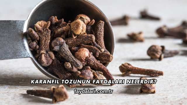 Karanfil Tozunun Faydaları Nelerdir?