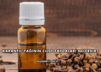 Karanfil Yağının Cilde Faydaları Nelerdir?