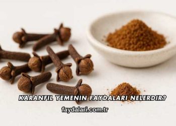 Karanfil Yemenin Faydaları Nelerdir?