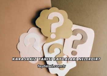 Karasakız Yakısı Faydaları Nelerdir?