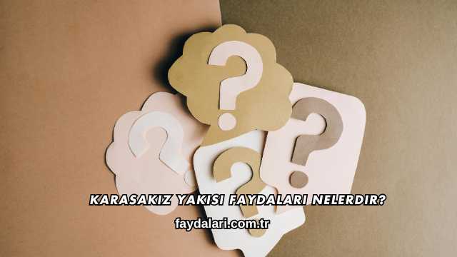 Karasakız Yakısı Faydaları Nelerdir?