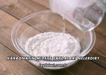 Karbonatın Mideye Faydaları Nelerdir?