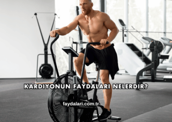 Kardiyonun Faydaları Nelerdir?