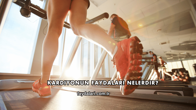 Kardiyonun Faydaları Nelerdir?