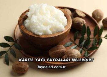 Karite Yağı Faydaları Nelerdir?