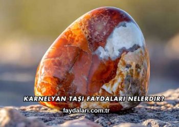 Karnelyan Taşı Faydaları Nelerdir?