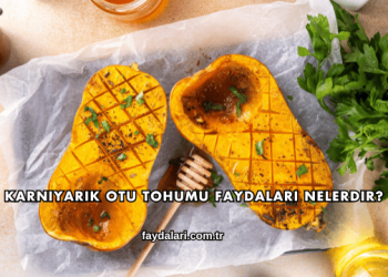 Karnıyarık Otu Tohumu Faydaları Nelerdir?