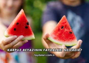 Karpuz Beyazının Faydaları Nelerdir?