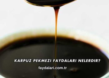 Karpuz Pekmezi Faydaları Nelerdir?
