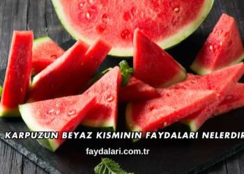 Karpuzun Beyaz Kısmının Faydaları Nelerdir?
