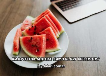 Karpuzun Mideye Faydaları Nelerdir?