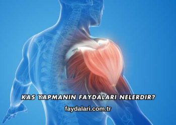 Kas Yapmanın Faydaları Nelerdir?