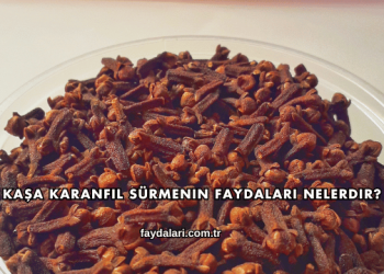 Kaşa Karanfil Sürmenin Faydaları Nelerdir?