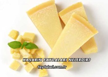 Kaşarın Faydaları Nelerdir?