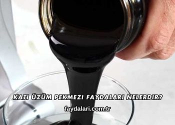 Katı Üzüm Pekmezi Faydaları Nelerdir?