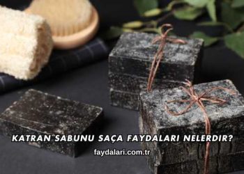 Katran Sabunu Saça Faydaları Nelerdir?