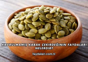 Kavrulmamış Kabak Çekirdeğinin Faydaları Nelerdir?