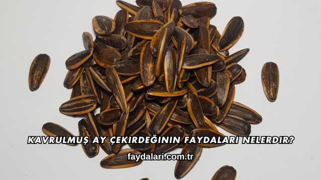 Kavrulmuş Ay Çekirdeğinin Faydaları Nelerdir?