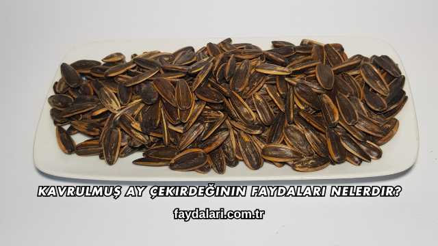 Kavrulmuş Ay Çekirdeğinin Faydaları Nelerdir?