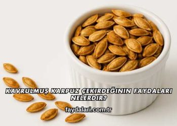 Kavrulmuş Karpuz Çekirdeğinin Faydaları Nelerdir?