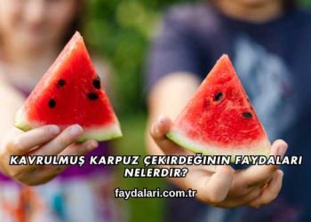 Kavrulmuş Karpuz Çekirdeğinin Faydaları Nelerdir?