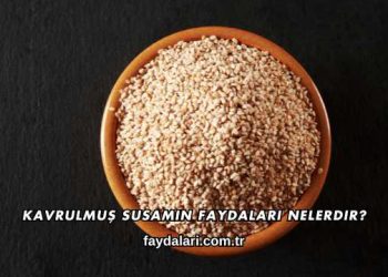 Kavrulmuş Susamın Faydaları Nelerdir?