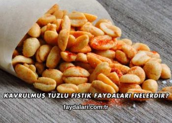 Kavrulmuş Tuzlu Fıstık Faydaları Nelerdir?