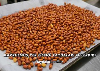 Kavrulmuş Yer Fıstığı Faydaları Nelerdir?