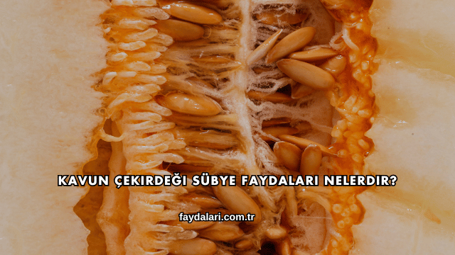Kavun Çekirdeği Sübye Faydaları Nelerdir?