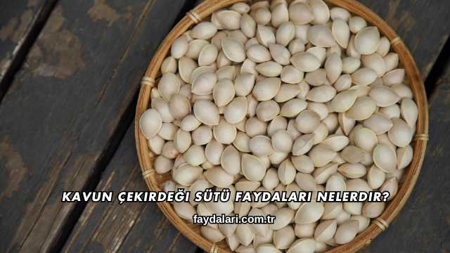 Kavun Çekirdeği Sütü Faydaları Nelerdir?