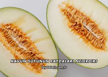 Kavun Suyunun Faydaları Nelerdir?