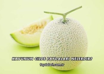 Kavunun Cilde Faydaları Nelerdir?