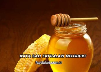 Kaya Balı Faydaları Nelerdir?