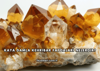 Kaya Damla Kehribar Faydaları Nelerdir?
