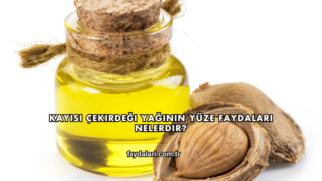 Kayısı Çekirdeği Yağının Yüze Faydaları Nelerdir?