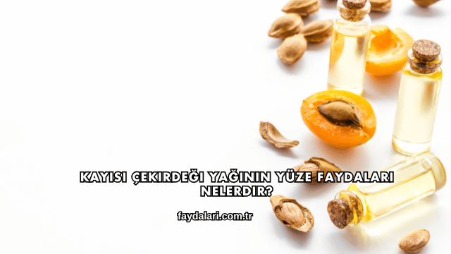 Kayısı Çekirdeği Yağının Yüze Faydaları Nelerdir?