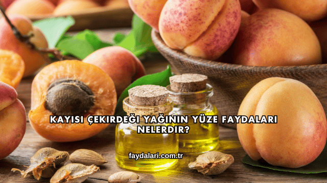 Kayısı Çekirdeği Yağının Yüze Faydaları Nelerdir?