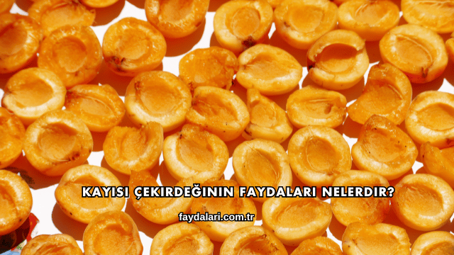 Kayısı Çekirdeğinin Faydaları Nelerdir?