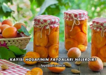 Kayısı Hoşafının Faydaları Nelerdir?
