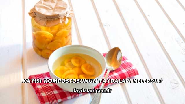 Kayısı Kompostosunun Faydaları Nelerdir?
