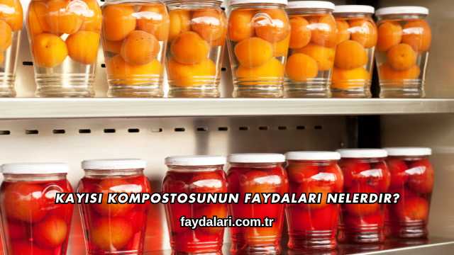 Kayısı Kompostosunun Faydaları Nelerdir?