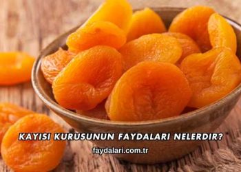 Kayısı Kurusunun Faydaları Nelerdir?