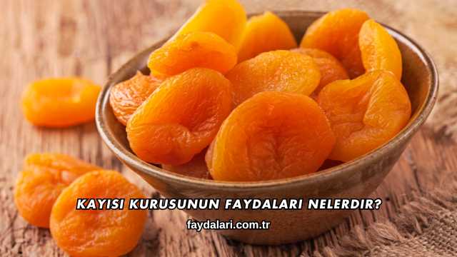 Kayısı Kurusunun Faydaları Nelerdir?
