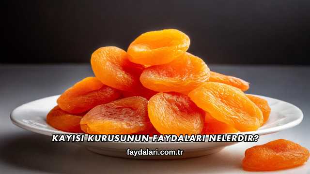 Kayısı Kurusunun Faydaları Nelerdir?