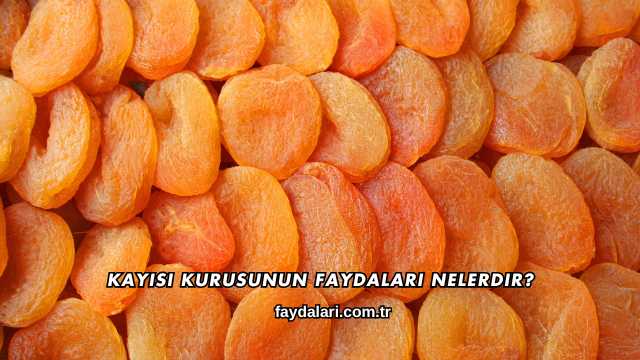 Kayısı Kurusunun Faydaları Nelerdir?