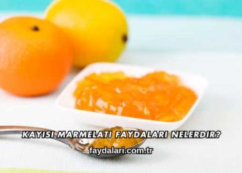 Kayısı Marmelatı Faydaları Nelerdir?