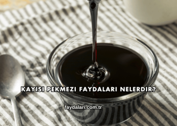 Kayısı Pekmezi Faydaları Nelerdir?